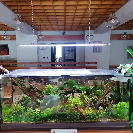 Sola-fide 3* 扬斯凯拉兹涅